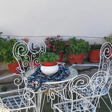 Cozy Center Tríkala